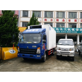 中國(guó)重汽 載貨汽車